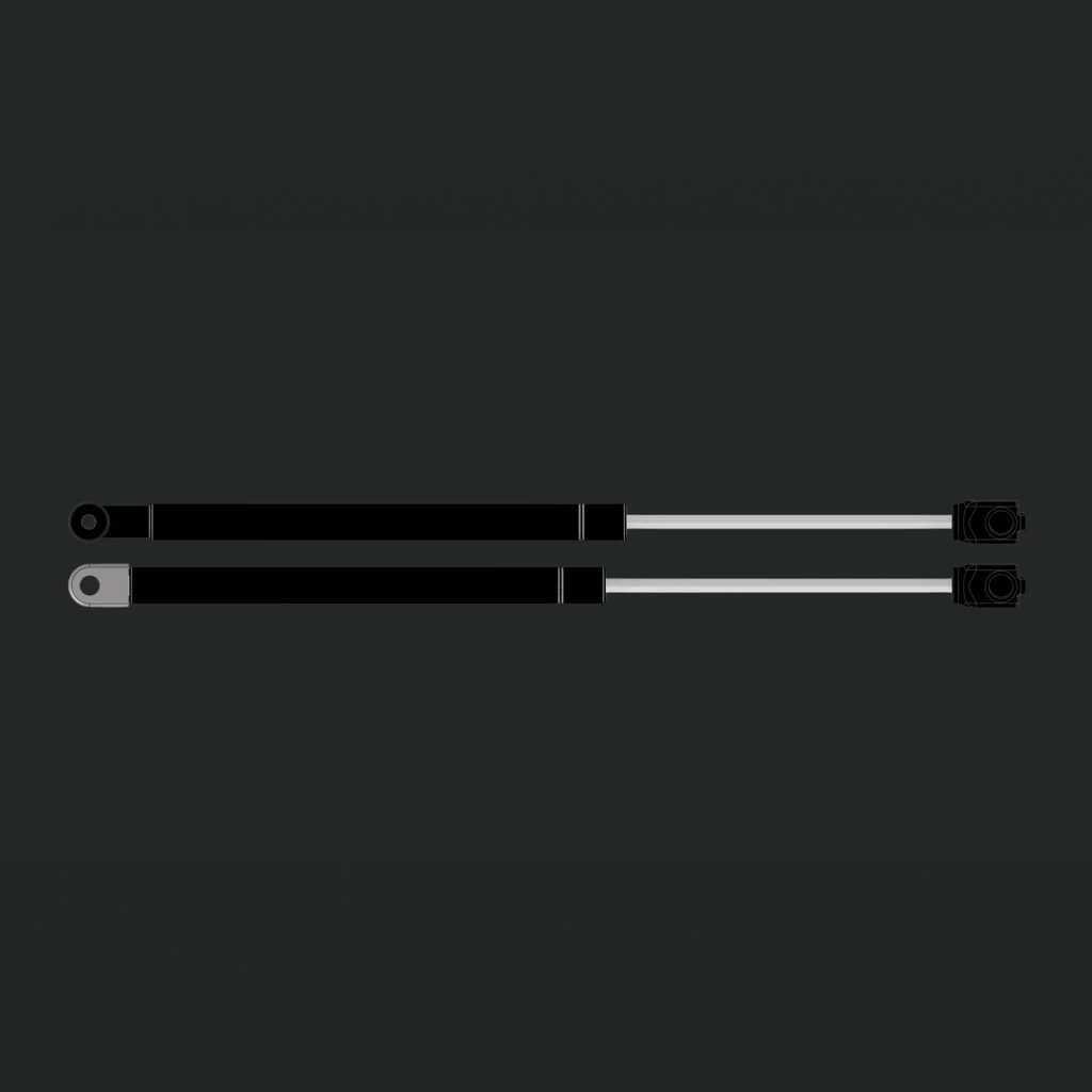 GS_two-springs.png
